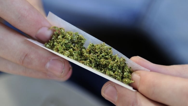 How to Choose the Best Weed Delivery Service
