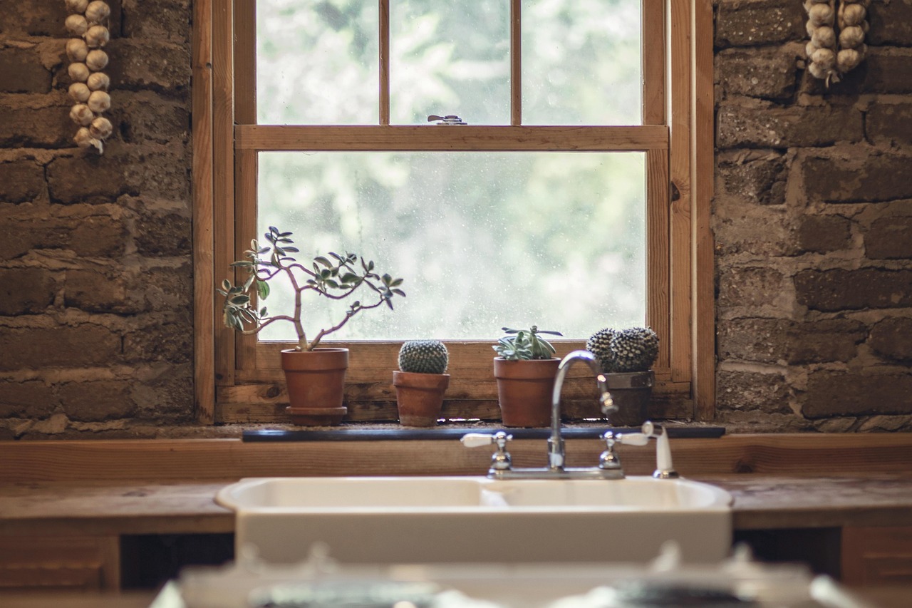 Garlic, cactus, window — "Kirkland Windows: Combining Elegance and Energy Efficiency"