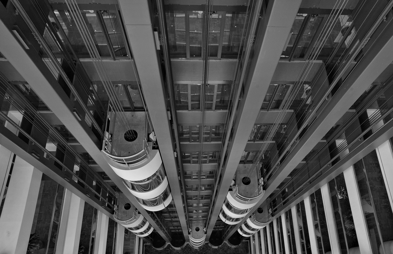 Architecture, business, building — Unveiling Breakthroughs: Dr. Stephen Carolan 's Scientific Journey